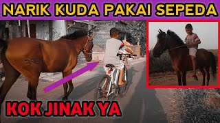 TEST TUNGGANG Kuda Jinak Shiva Bersama Joki Cilik KESHA - SIDOMULYO STABLE
