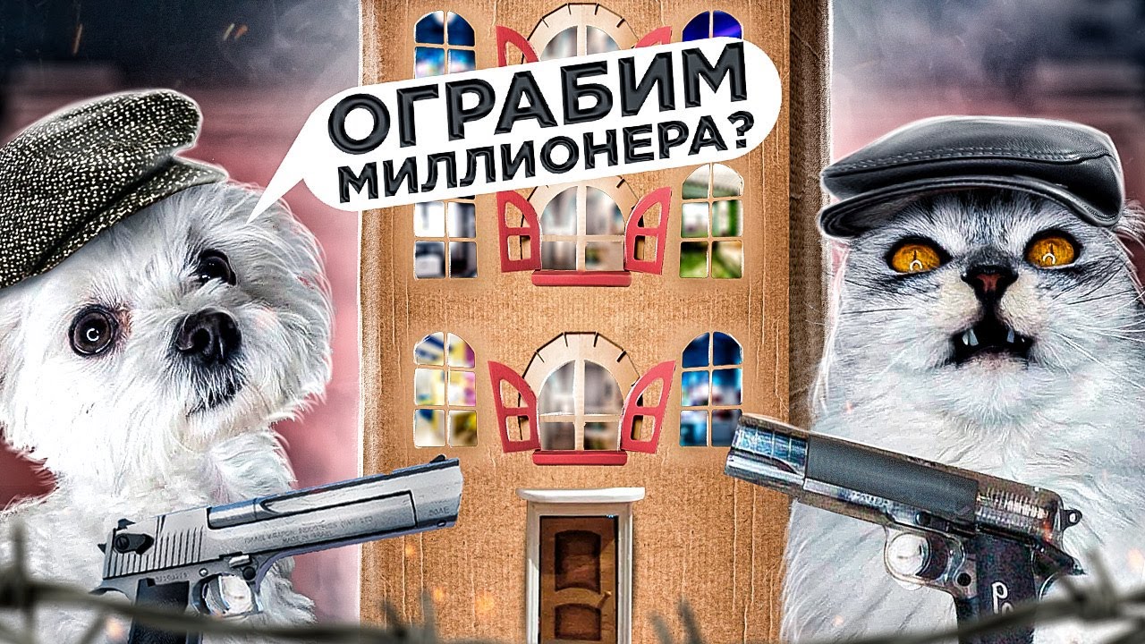 ПРОНИКЛИ В КАРТОННЫЙ ДОМ МИЛЛИОНЕРА - YouTube