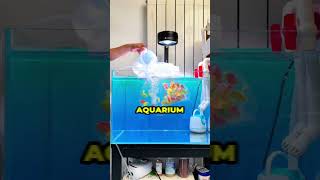 Adding New Fish The Right Way 😳(@likediy3)