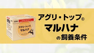 アグリ・トップマルハナの飼養条件【セイヨウオオマルハナバチ】