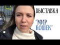 VLOG: Выставка Мир Кошек 12.09.20