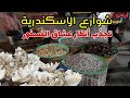 جولة بميدان المنشية وشوارع الاسكندرية بالليل عند بياع الغلابة ارخص فسفور في مصر جولة بميدان المنشية وشوارع الاسكندرية بالليل عند بياع الغلابة ارخص فسفور في مصر