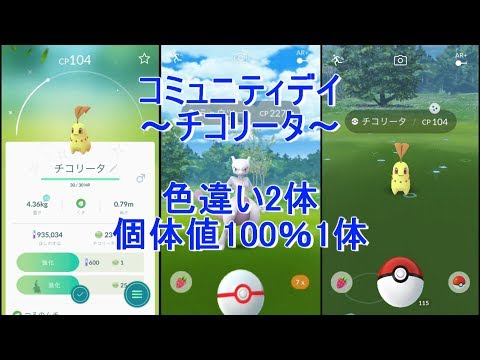 【ポケモンGO】コミュニティデイ（チコリータ）ミュウツーレイドそして新ポケモン！？個体値100％も！