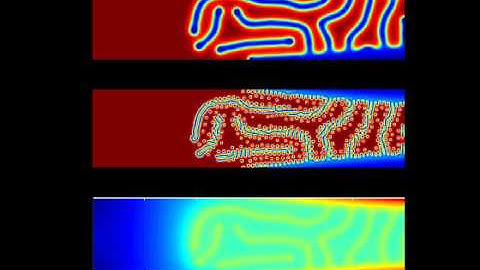 Thermal reaction diffusion with different diffusion coefficients