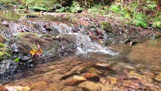 Crystal Creek Meditation - Theta Binaural Beats