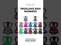 Truelove Dog Harness https://bostonterrier.world/collections/harnesses/products/truelove-dog-harness