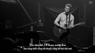 Vietsub + Lyrics || Let's Fall In Love For The Night (LIVE) || FINNEAS