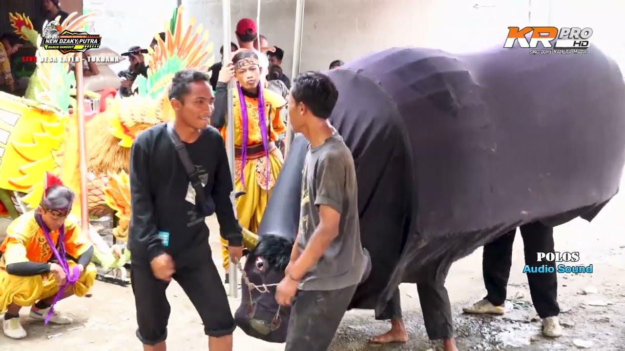 KEBO NGAMUK /  Manuk Dangdut / Dzaky Putra / Khitan Ahmad Haykal / 14-10-22 / Lajer