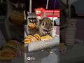 Raccoons eating at in and out burger joint #funnyshorts #racoons #inandout #burgerjoint #frenchfries
