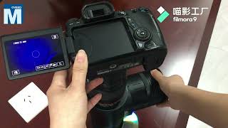 Reflected Uv Imaging System For Forensic Fingerprints Or-Gzp500