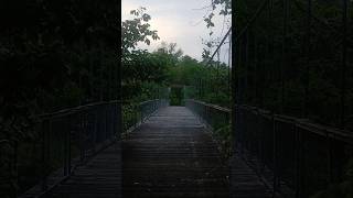 Haggard Swinging Bridge