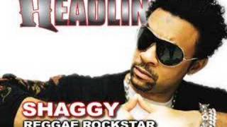 Famous Shaggy speaks the truth about Reggae Profile
