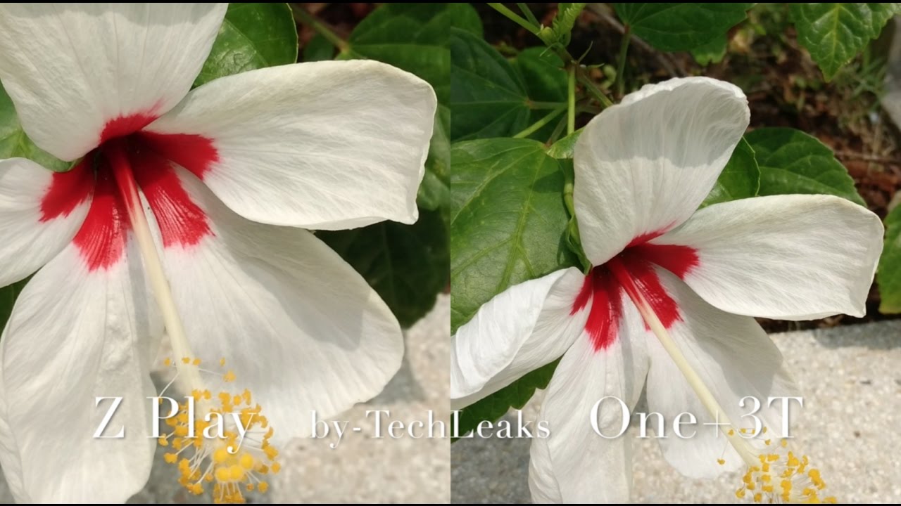 ONE PLUS 3T vs MOTO Z PLAY STEADY SHOTS AND VIDEO REVIEW