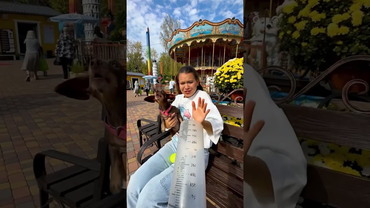 УПЛЫЛИ😂😂😂