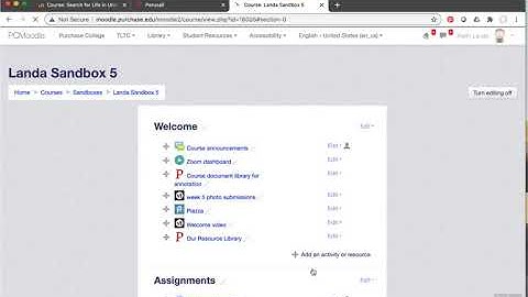 Basic primer on using Perusall in our Moodle system