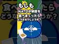 もしも突然NATOが納豆を食べまくったら？ #ポーランドボール #countryballs #polandball