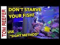Reef tank how i feed my fish sight method