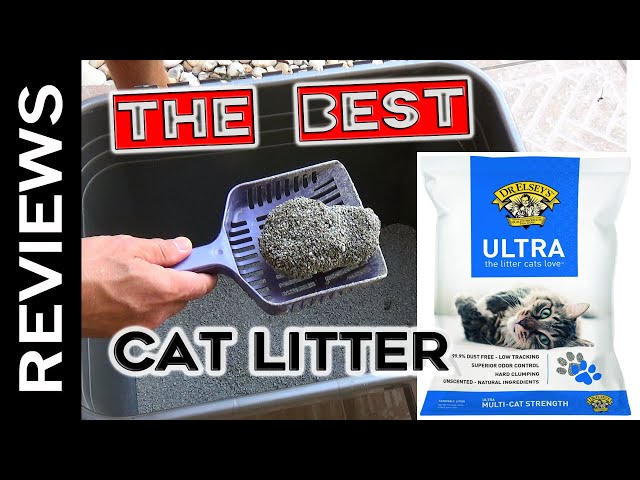 are puppy chew toys okay for cat cleaning teeth WagBrush