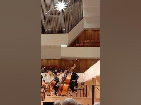 Немовленнєві звуки. Симфонічний оркестр. - YouTube