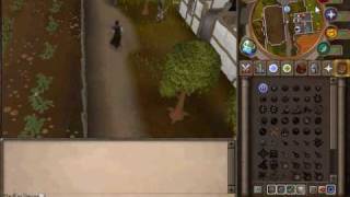 [RS] Farming - Ranarr Guide [For Newbies]