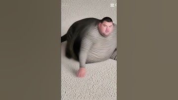 Asking. AI to turn your cat into a human. Incredible accuracy #aicat #funnycatshorts #catvideos #cat