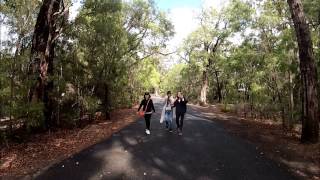 Molloy Island and Augusta