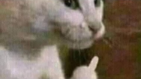 He Challenged me for 1v1 FPP TDM 🥶 inspired by @STAR CAPTAIN ⚡SAMSUNG A3,A5,A6,A7,J2,J5,J7,S6,S7,S9