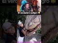 🇲🇽MEXICANO CONOCE AL SER MÁS TERRIBLE🤣🤣🤣