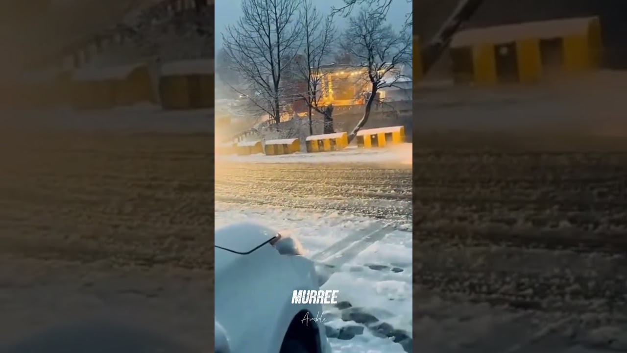 muree# beauty snow ❄️ 🌨️ 🌨️ 🌨️ 👻 fall beauty