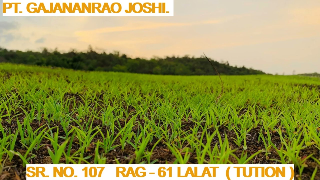 PT GAJANANRAO JOSHI   CD 5   RAG 61 LALAT   SR NO 107   TUTION