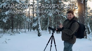 Как Фотографировать / Пейзаж в зимнем лесу