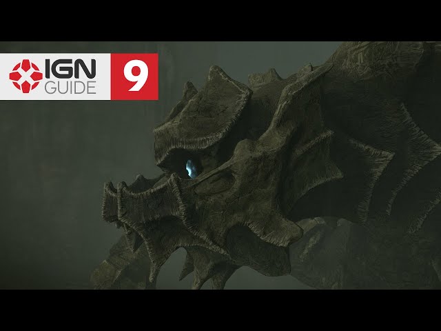 Shadow of the Colossus' Remake beginner's guide