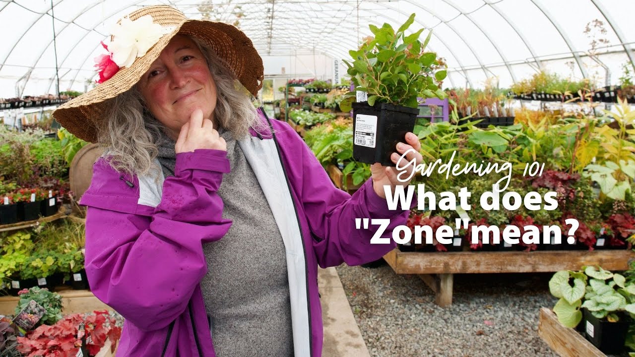 Gardening 101 What Does Hardiness Zone Mean YouTube