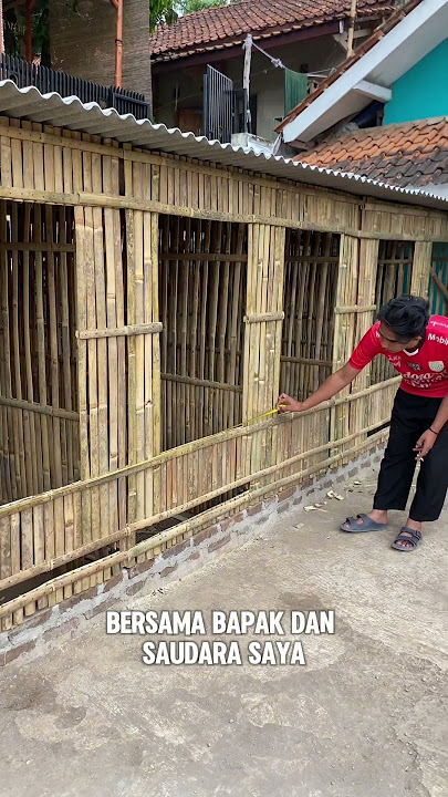 Ukuran Kandang Indukan Sobat Hayam 🐓 #kandangayam #peternakmuda #peternakayam