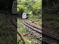 Toy Train Nandankanan Zoological Park Bhubaneswar Rainy Day Viralshorts