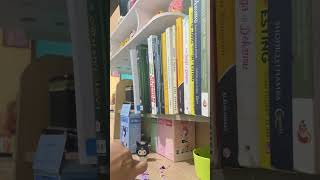 Download Lagu Kuromi Cute 😻 #music #dj #remix #brickmania #kuromi #sanriocharacters #fypyoutube #fypシ゚viral #fyp MP3