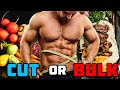 How To Know If You Should Bulk Or Cut?