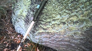 Finding Dry Tinder in the Wettest of Places