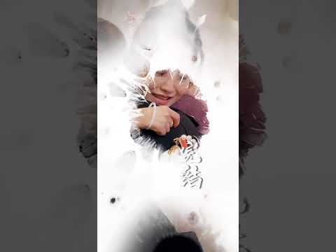 鉴宝女王 poster