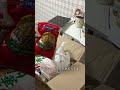 仕送り開封動画