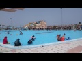 Египет бассейн