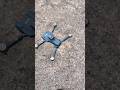 drone flying test #viralvideo #drone #dji #droneworld #velocidrone #shortvideo #shorts #djiavata