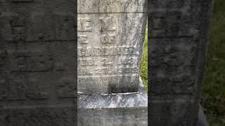 Henry Gardner February 3 1826. July 30, 1902 #cemetery #grave #genealogyresearch #cemeterywandering Henry Gardner February 3 1826. July 30, 1902 #cemetery #grave #genealogyresearch #cemeterywandering