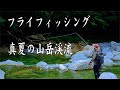 フライフィッシング真夏の山岳渓流（2020年8月）