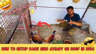 Rare Bird setup on the Roof in Pakistan 2024 | birds cage breeding setup in Pakistan | Mini zoo