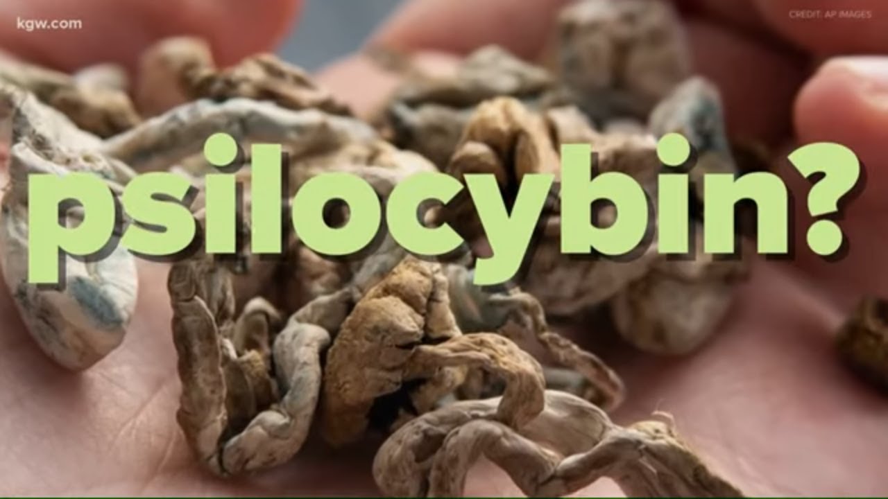 Oregon Measure 109: Voters to weigh legalizing psilocybin for mental health therapy