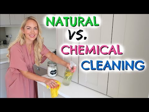 TESTING CHEMICAL VS. NATURAL CLEANING PRODUCTS + DIY CLEANING HACKS  |  EMILY NORRIS