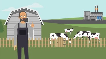 Martin v. Reynolds Metals Co. Case Brief Summary | Law Case Explained