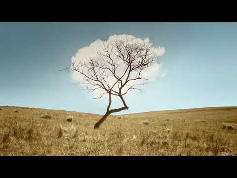 Новый Discovery Sport | Время новых открытий