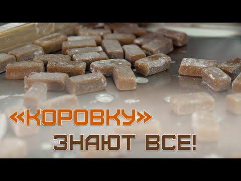 «Получаешь за это гору конфет!» // Лукашенко на фабрике, знаменитая «Коровка» и сладкие тренды
